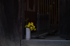 京都嵯峨の風景　1