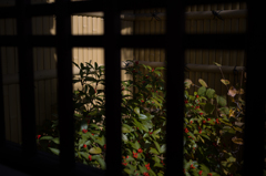京都祇園散策　3