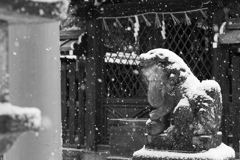 雪の狛犬