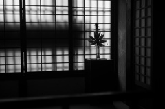 格子の魅力