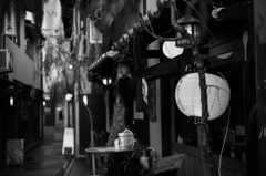 柳の路地