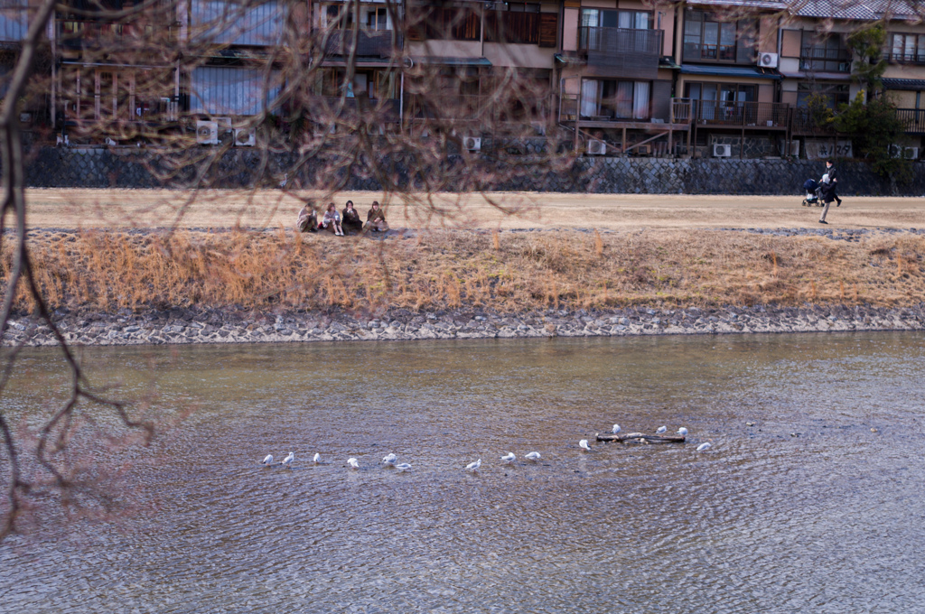 川を眺めて語らって
