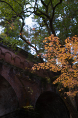 京都南禅寺　紅葉2