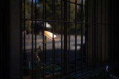 スタンドの灯り