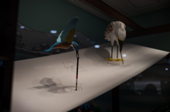 画家なるカワセミ