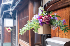 先斗町花祭り　2