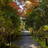 京都金地院　紅葉2