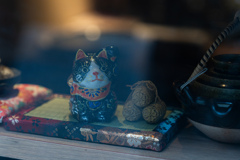 黒猫の福来たる