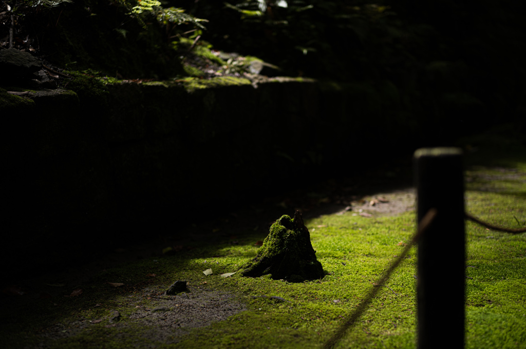 法然院　14