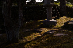 京都植物園　16