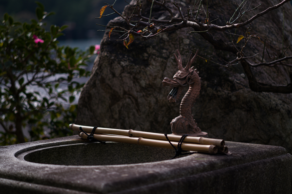清水の龍　1