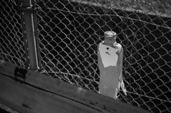 人のように割れた物