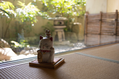 招きありがとう