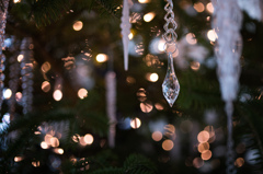 クリスマスシーズン　2