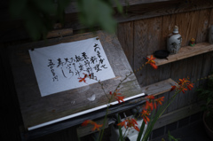 おまかせ