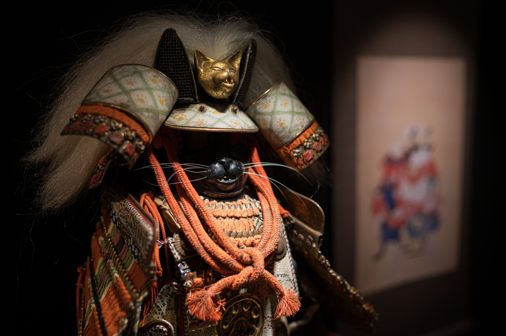 猫猫寺　猫国武将展　13