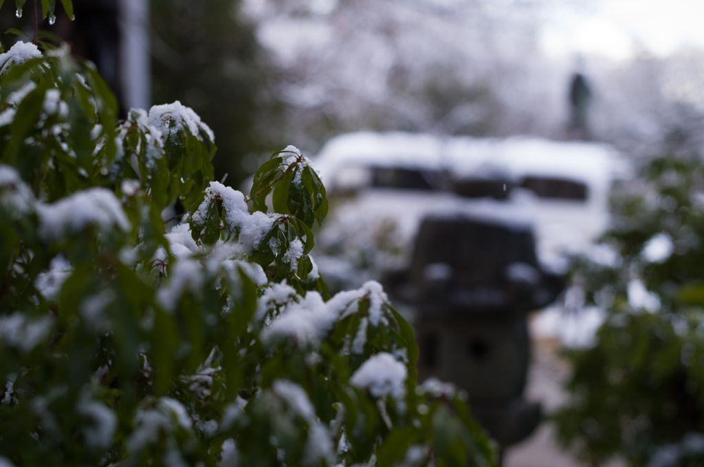 雪解けの風景　12