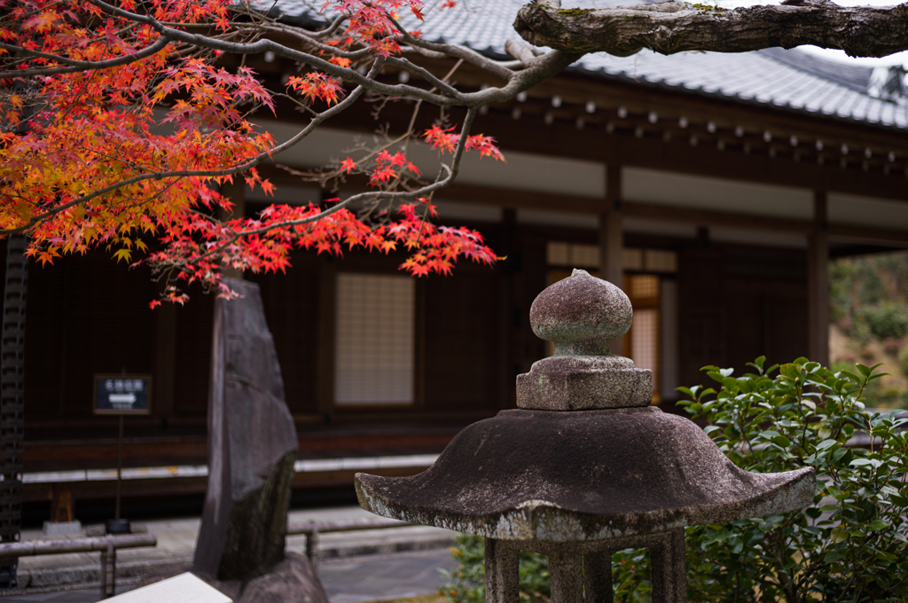 京都智積院　1