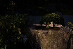 京都妙心寺　退蔵院　3