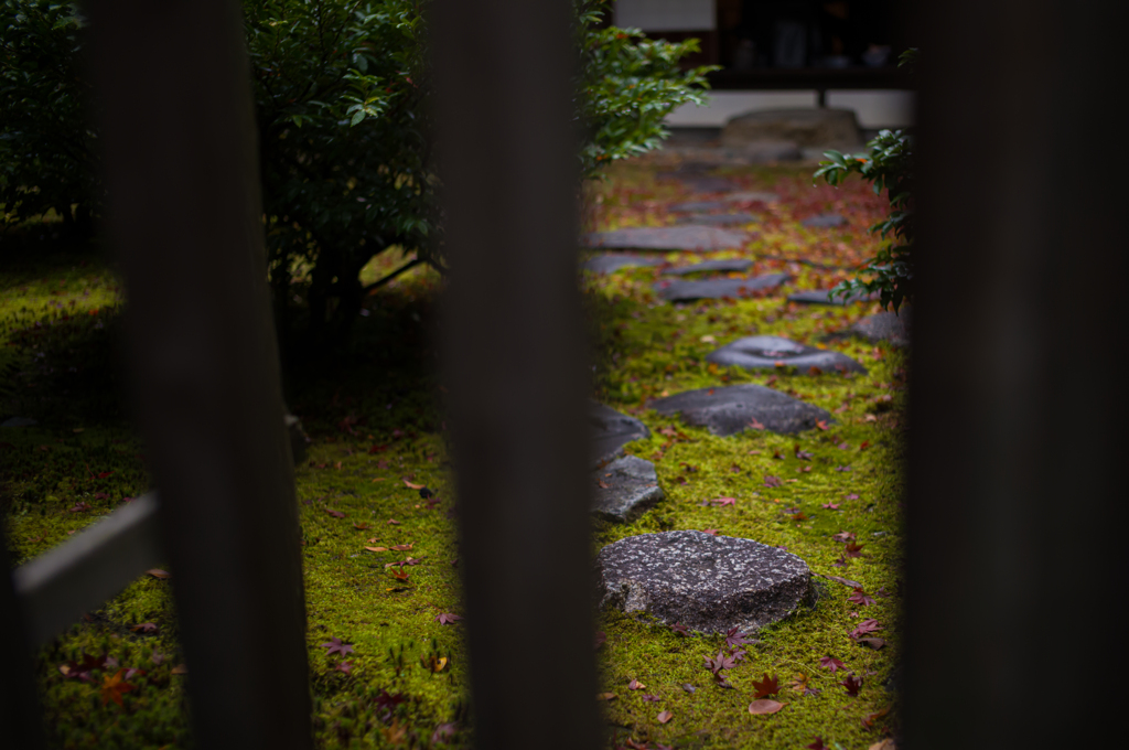 京都建仁寺　紅葉1
