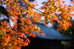 北野天満宮　7