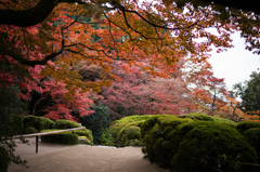 詩仙堂　紅葉　4