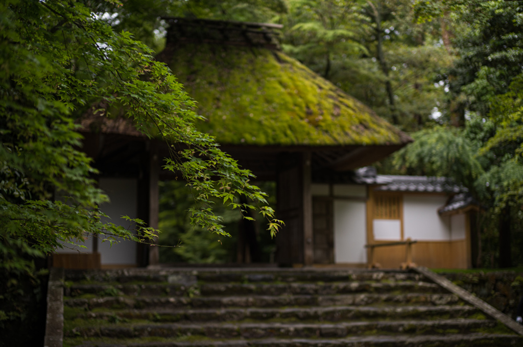 法然院　11