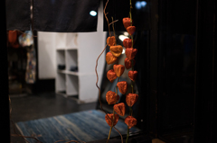 ホオズキショールーム