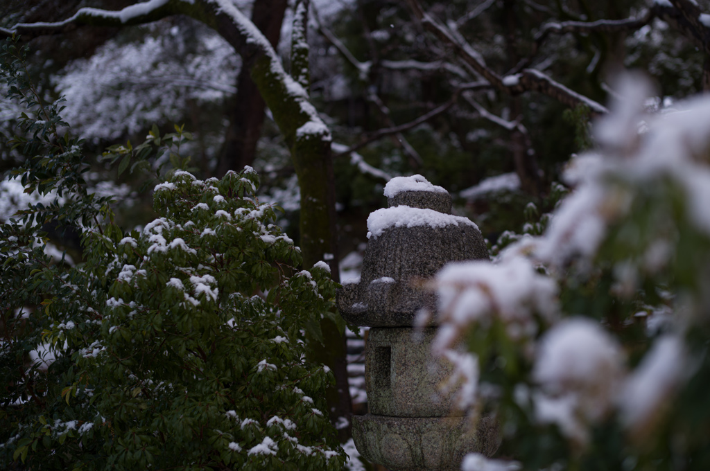 雪解けの風景　11