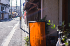 木漏れ日の鶏