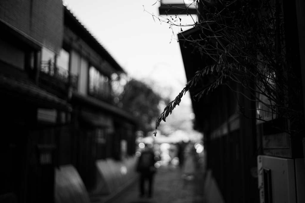 ちょろっと