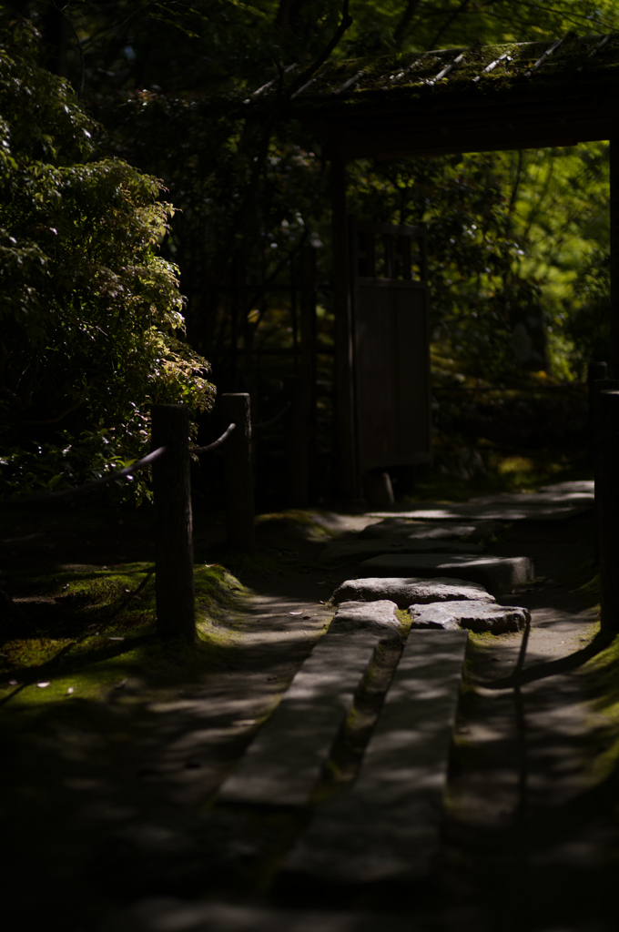 光と影と。その12