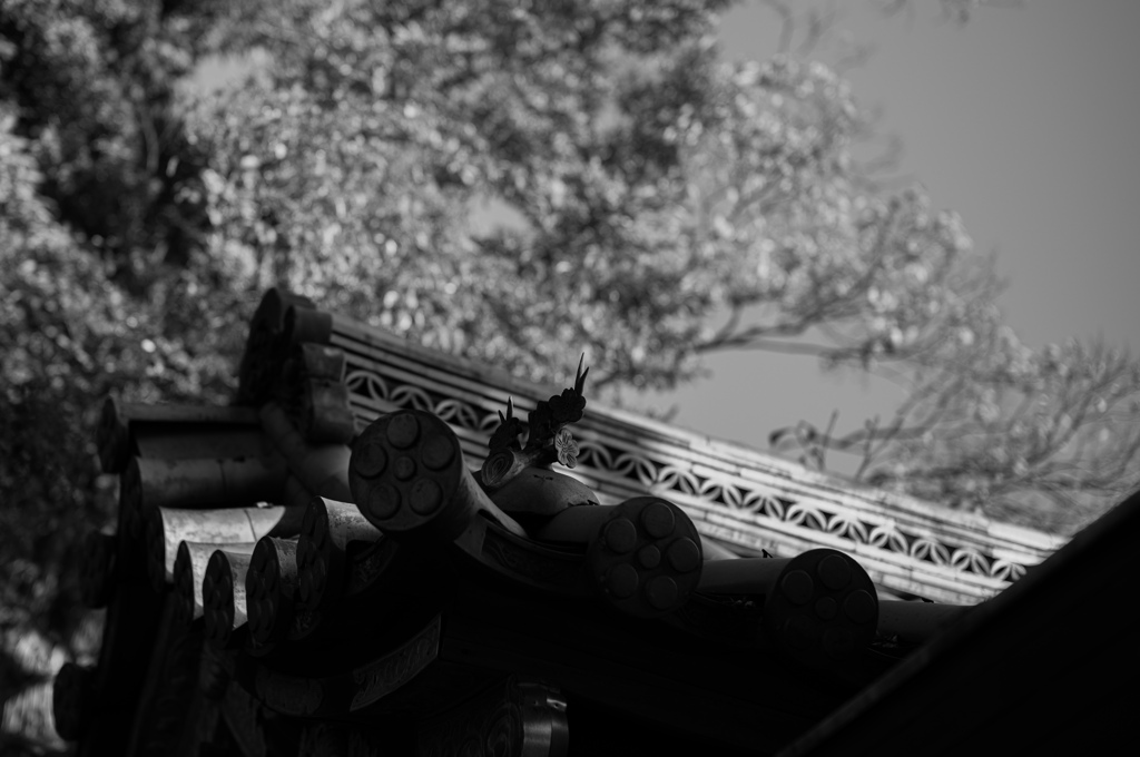 北野天満宮　19