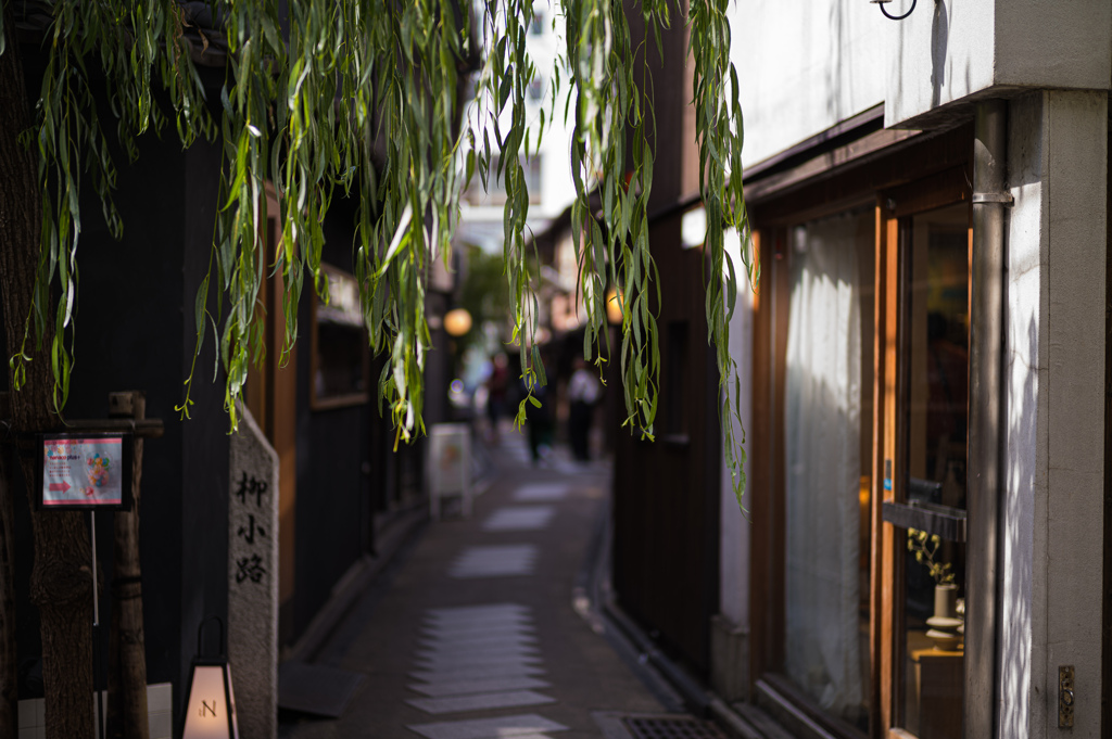 柳　小路