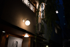 柳の夜