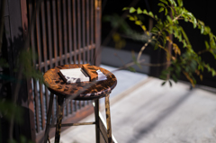 やさしい木漏れ日