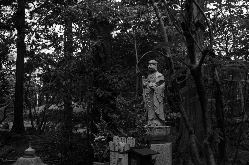 京都妙心寺　桂春院　6