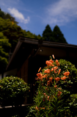 山の景色