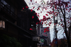 京都祇園散策　8