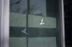 白い鳥