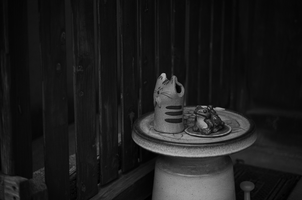 猫と蛙