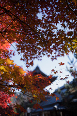 寺院