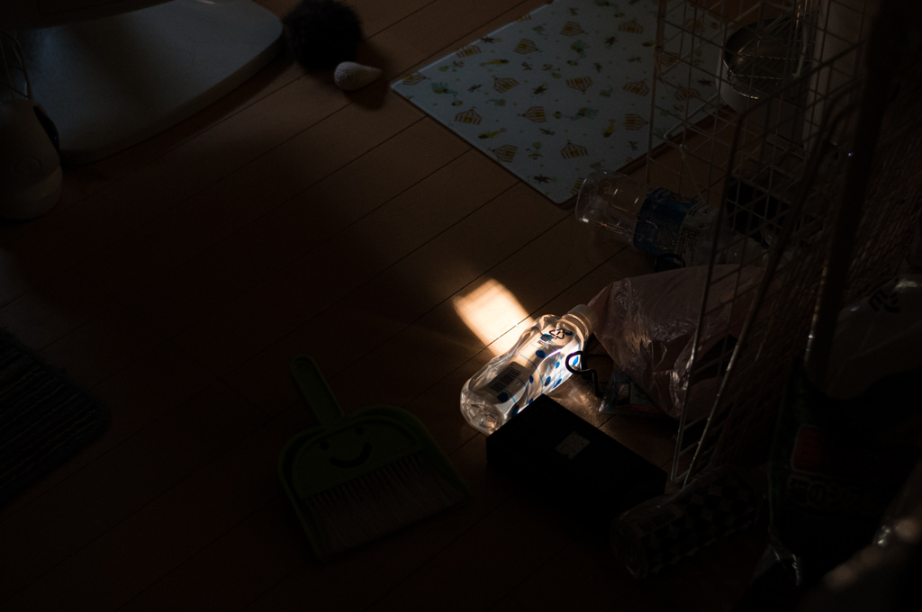 ゴミ部屋の光
