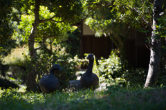 鶴見緑地公園　3