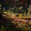 京都南禅寺　紅葉19