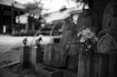 花供