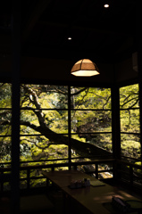 枠の緑