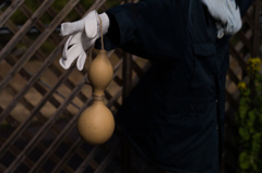 京都植物園　12