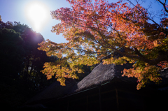 奈良吉城園　12