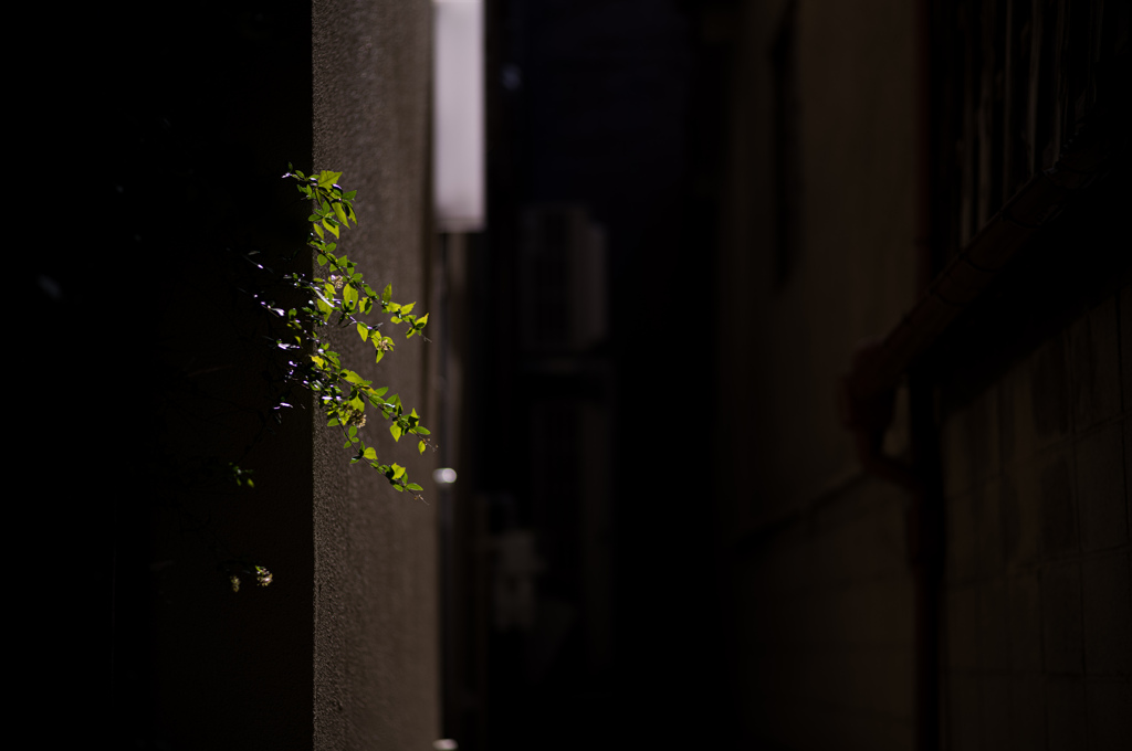 ふとした風景